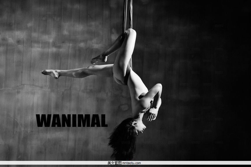 WANIMALٷƷ12VIPʥͼ[120P]